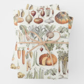 Adolphe Millot Vegetable Pattern Wrapping Paper Sh (In situ)