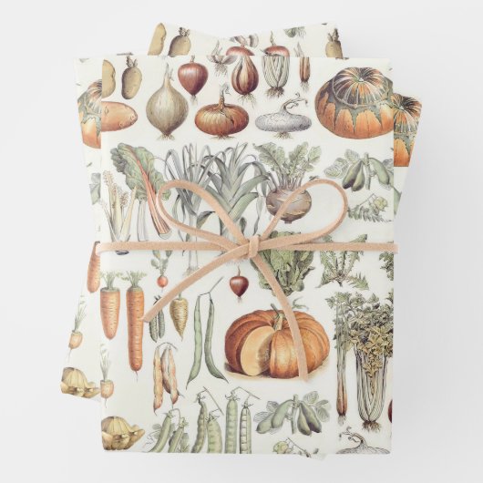 Adolphe Millot Vegetable Pattern Wrapping Paper Sh (In situ)