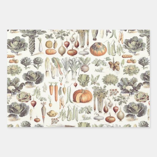 Adolphe Millot Vegetable Pattern Wrapping Paper Sh (Voorkant)