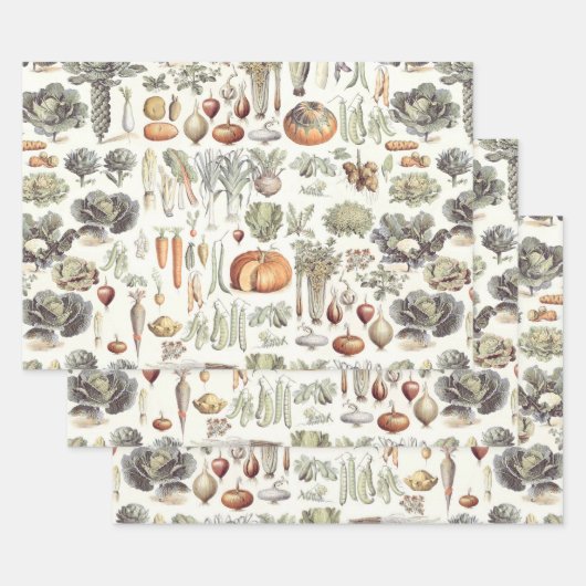Adolphe Millot Vegetable Pattern Wrapping Paper Sh (Set)