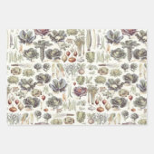 Adolphe Millot Vegetable Pattern Wrapping Paper Sh (Voorkant 3)