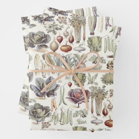 Adolphe Millot Vegetable Pattern Wrapping Paper Sh (In situ)