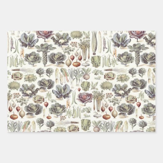 Adolphe Millot Vegetable Pattern Wrapping Paper Sh (Voorkant)