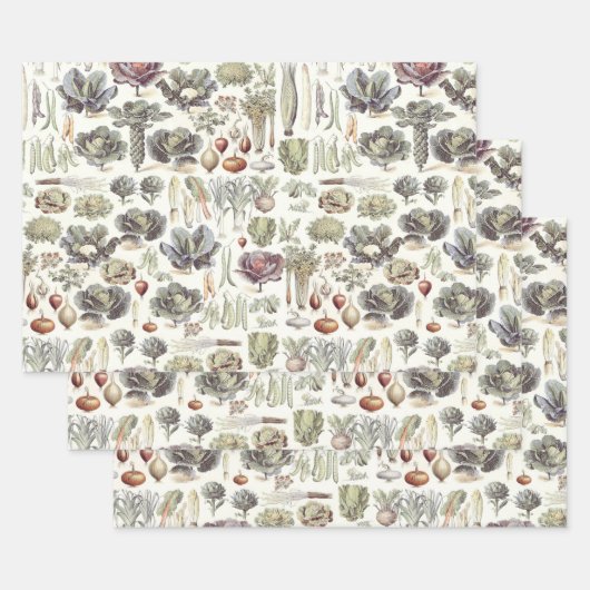 Adolphe Millot Vegetable Pattern Wrapping Paper Sh (Set)
