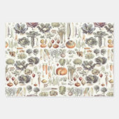 Adolphe Millot Vegetable Pattern Wrapping Paper Sh (Voorkant 3)