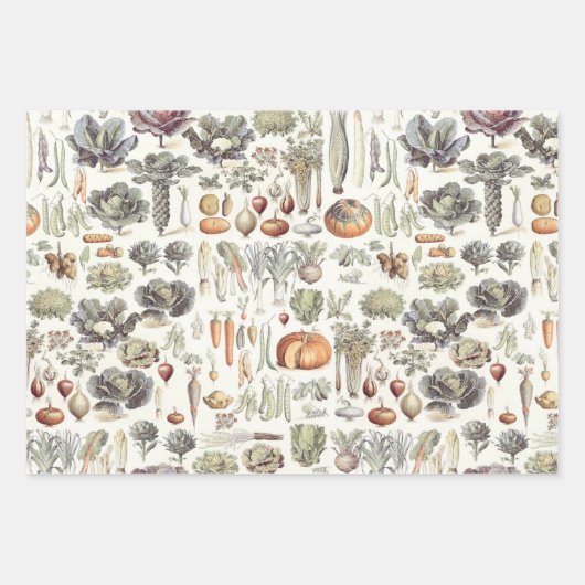 Adolphe Millot Vegetable Pattern Wrapping Paper Sh (Voorkant 3)