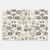 Adolphe Millot Vegetable Pattern Wrapping Paper Sh (Voorkant 2)