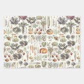 Adolphe Millot Vegetable Pattern Wrapping Paper Sh (Voorkant)