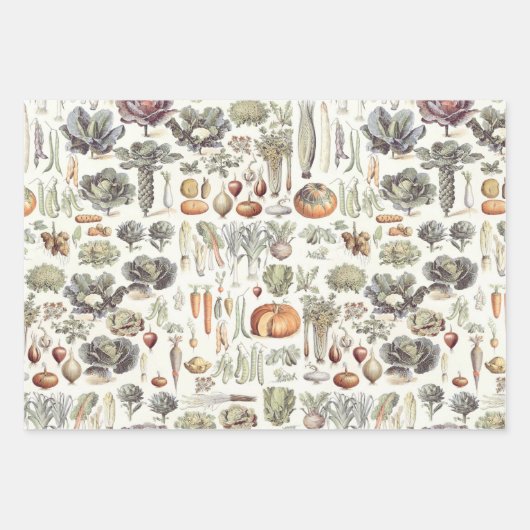 Adolphe Millot Vegetable Pattern Wrapping Paper Sh (Voorkant)