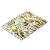 Adolphe Millot vissen A Notitieboek (Linkerzijde)