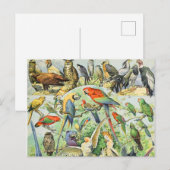 Adolphe Millot vogels A Briefkaart (Voorkant / Achterkant)