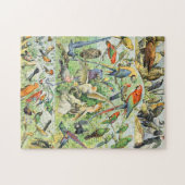 Adolphe Millot vogels A Legpuzzel (Horizontaal)