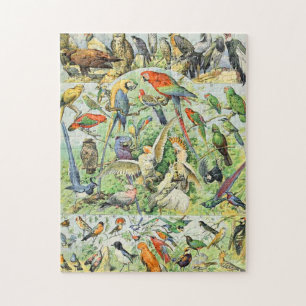 Adolphe Millot vogels A Legpuzzel