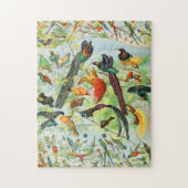 Adolphe Millot vogels B Legpuzzel (Verticaal)