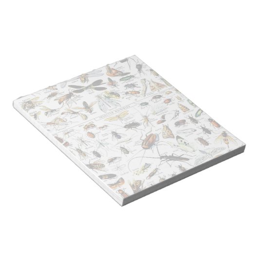 Adolphe Millot's Insectes Notitieblok (Schuin)