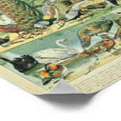 Adolphe Millot's Vogelillustraties Poster (Hoek)