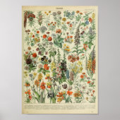 Adolphe Philippe Millot Fleurs Poster (Voorkant)