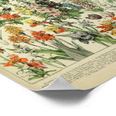 Adolphe Philippe Millot Fleurs Poster (Hoek)