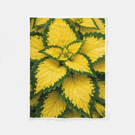 ADOM Gele Coleus Bladeren Plaid Deken (Voorkant)
