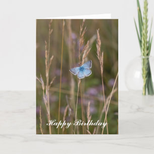Adonis Blue Butterflies - Birthday Wenskaart Kaart