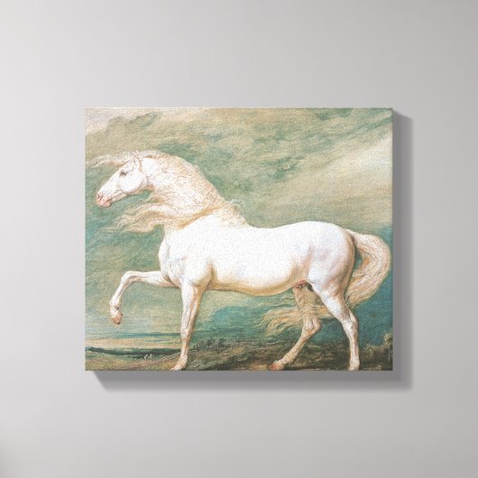 "Adonis" door James Ward Canvas Afdruk (Voorkant)