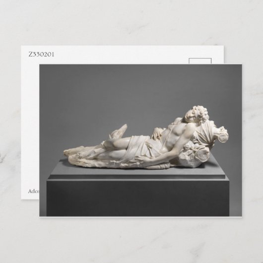 Adonis Sculpture Briefkaart (Voorkant / Achterkant)