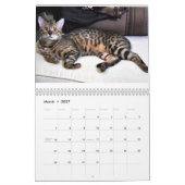 AdonisBengals Agenda - 2014 Kalender (Mar 2027)