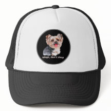 ADOPT, DON'T SHOP (Yorkshire Terrier) schattige ho