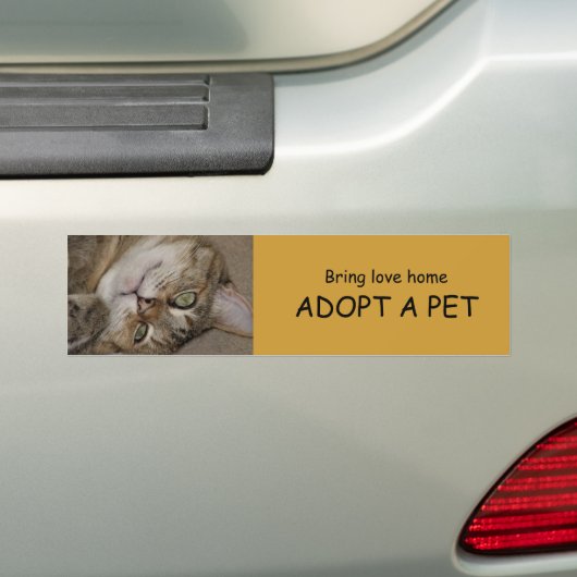 ADOPT EEN PET-Bumpersticker 1 Bumpersticker (Op auto)