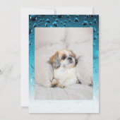 Adopt me dog custom 2 photo shelter animal rescue kaart (Achterkant)