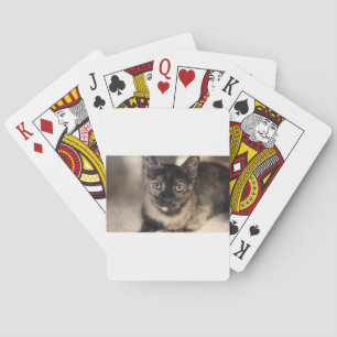 ADOPT Tiffany Pokerkaarten
