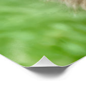 Adopted Scruffy Dog With Dog House Perfect Poster (Hoek)