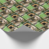 Adopted Scruffy Dog With Doghouse Cadeaupapier (Hoek)