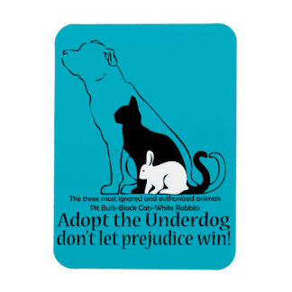 Adopteer de underdog..laat vooroordelen niet winne magneet