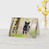 Adopteer een Cat Shelter Animal Feral Cat PSA Kaar Kaart (Gele Bloem)