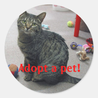 Adopteer een huisdier Sticker