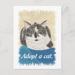 Adopteer een kat adoptie promotie briefkaarten