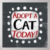 Adopteer een kat vandaag Poster Wall Art