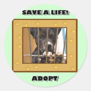 Adopteer een puppy sticker