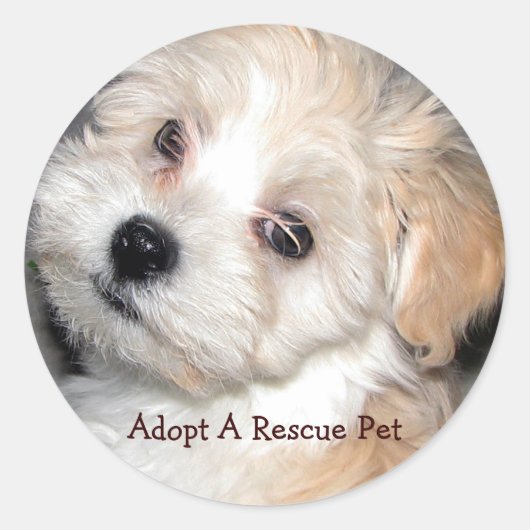 Adopteer een Rescue Pet Ronde Sticker (Voorkant)