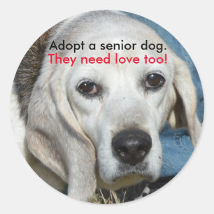 Adopteer een senior hond. Ze hebben ook liefde nod Ronde Sticker