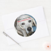 Adopteer een senior hond. Ze hebben ook liefde nod Ronde Sticker (Envelop)