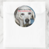 Adopteer een senior hond. Ze hebben ook liefde nod Ronde Sticker (Tas)