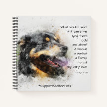 Adopteer een Shelter Pet - Berner Sennenhond