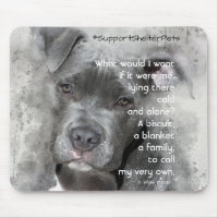 Adopteer een Shelter Pet - Pitbull