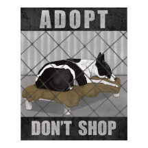 Adopteer, Koop Niet