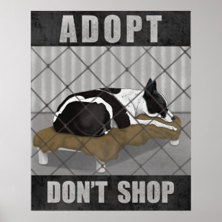 Adopteer, Koop Niet Poster