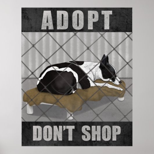 Adopteer, Koop Niet Poster (Voorkant)
