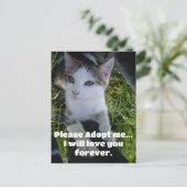 Adopteer me alsjeblieft..zal voor altijd van je ho briefkaart (Staand voorkant)