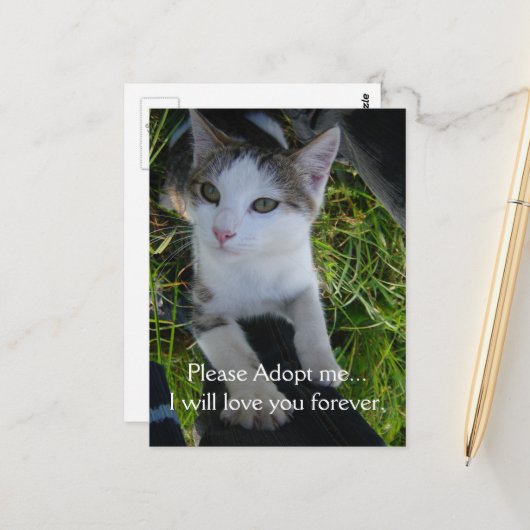 Adopteer me alsjeblieft..zal voor altijd van je ho briefkaart (Voorkant / Achterkant in situ)